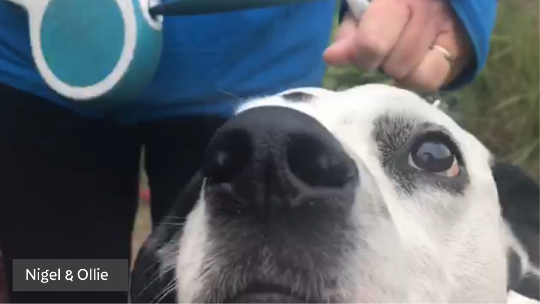 We’re walking seven miles every day for a week