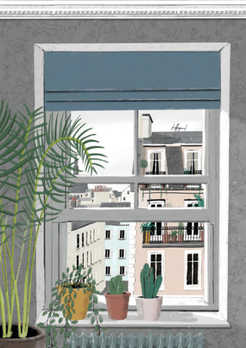 View from the window
