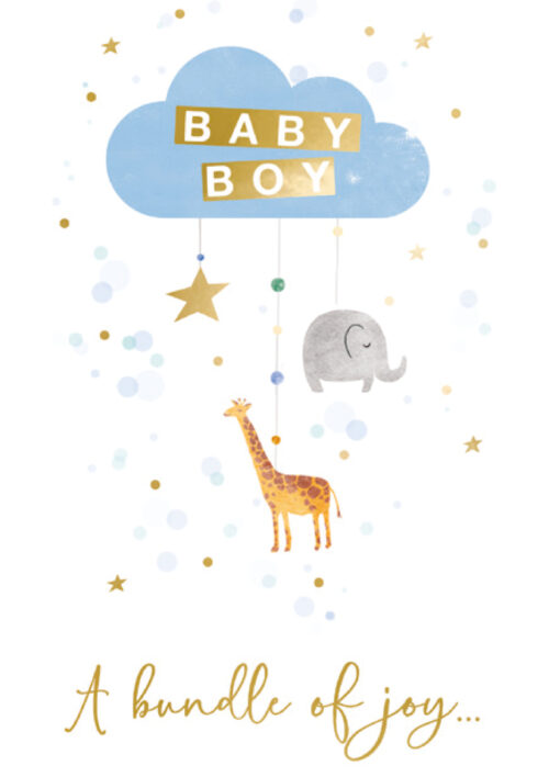 Baby Boy - A bundle of joy