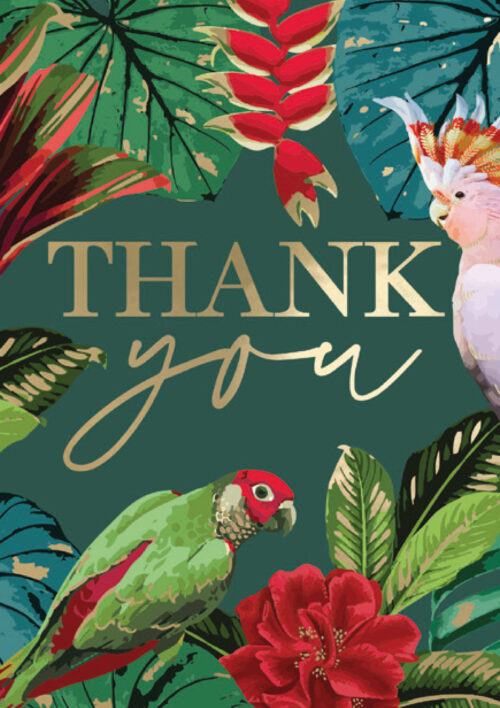 Thank you - Tropical Parrots