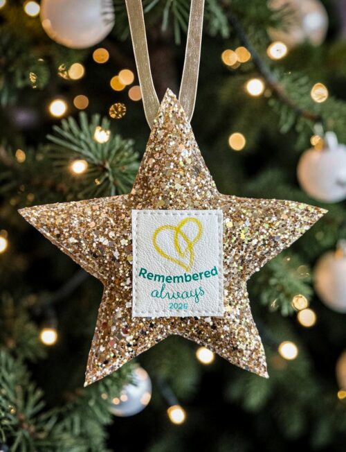 2026 Christmas Star